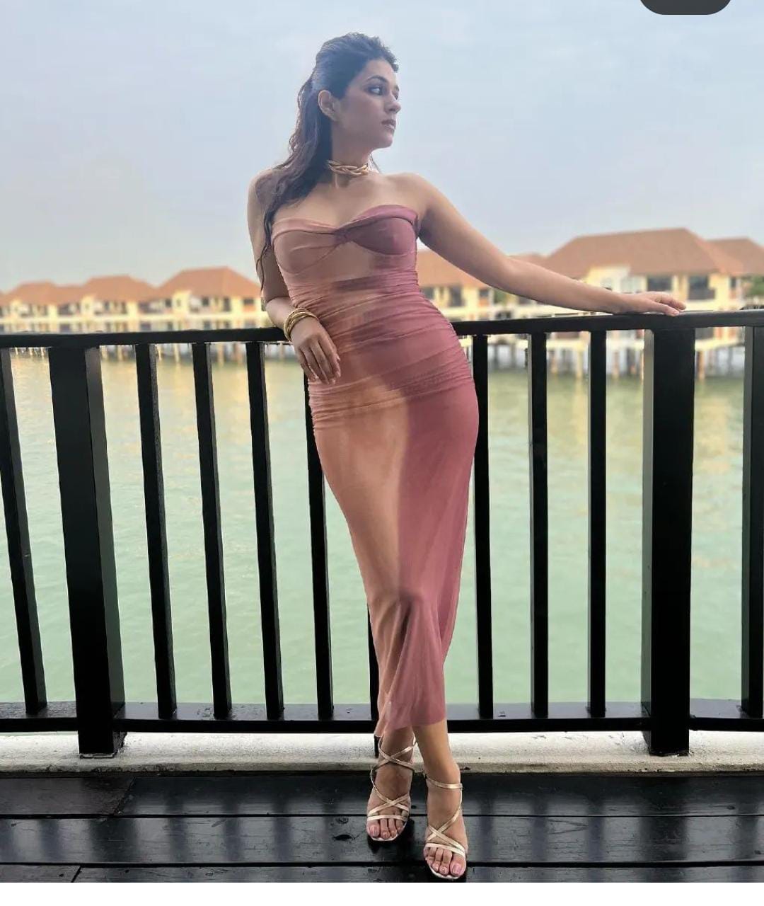 The Rose Ombré Mesh Midi